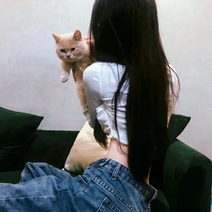 猫山王中王